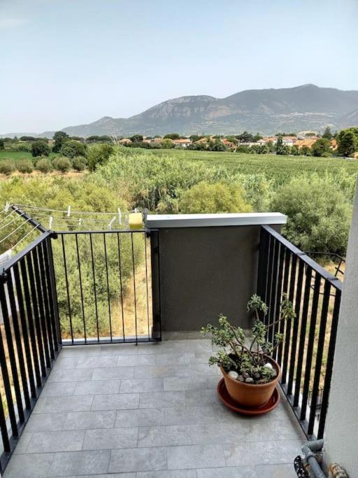 Casa Vacanze Mare Di Paestum 아파트 외부 사진